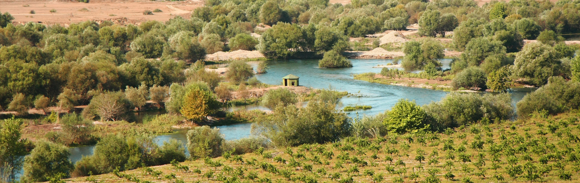 Kütahya